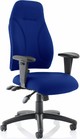 Esk Posture Chair - Blue Fabric